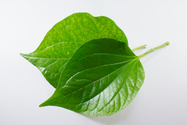 Similar image 13145201