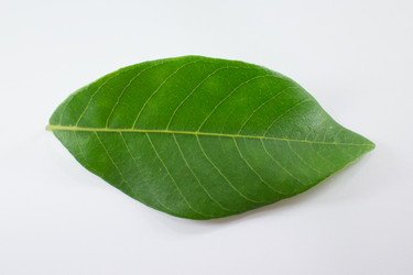 Similar image 13145202