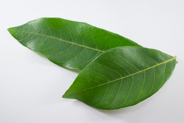 Similar image 13145203