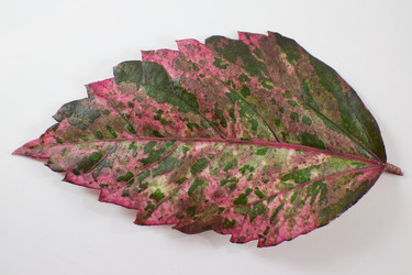 Similar image 13145280