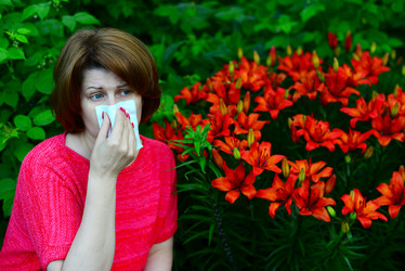 Similar image 13132318