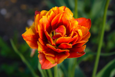 Similar image 13119546