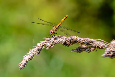 Similar image 13119547