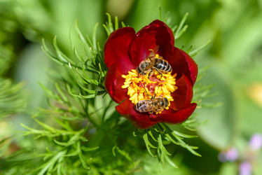 Similar image 13119548