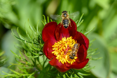 Similar image 13119549