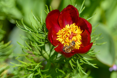 Similar image 13119550