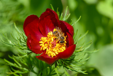 Similar image 13119551