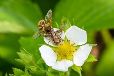 Similar image 13119553