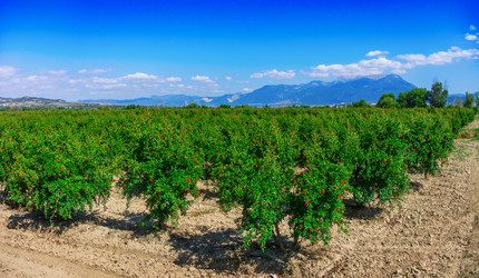 Similar image 13117190