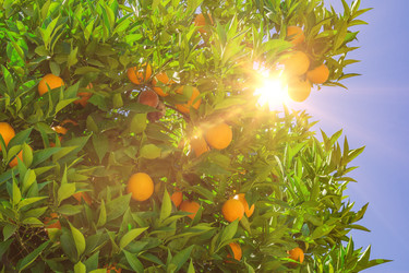 Similar image 13117191