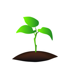 Similar image 13126830