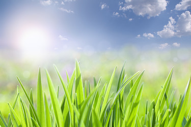 Similar image 13118056