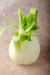 Similar image 13117927