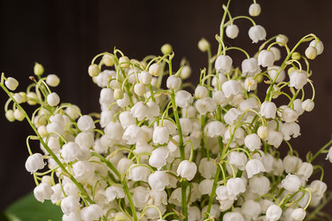 Similar image 13119422