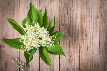 Similar image 13119424