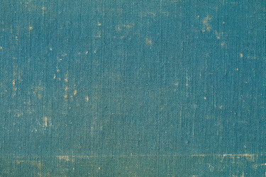 Similar image 13119427