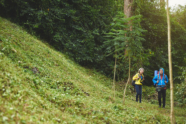 Similar image 13121406