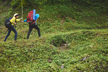 Similar image 13121426