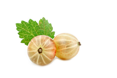 Similar image 13117718