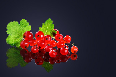 Similar image 13117720