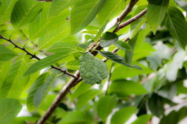 Similar image 13147129