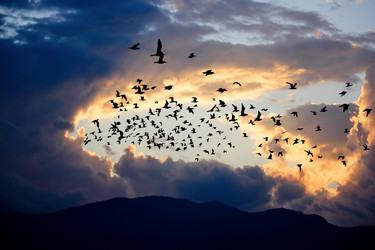 Similar image 13147130