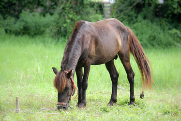 Similar image 13147133