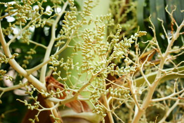 Similar image 13147150