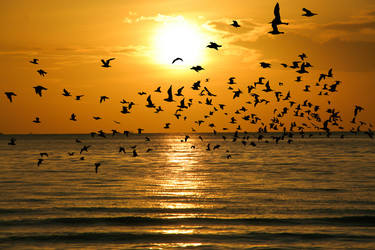 Similar image 13147151