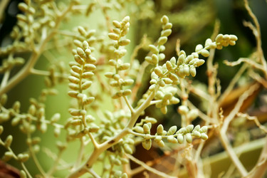 Similar image 13147152