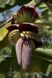 Similar image 13147134