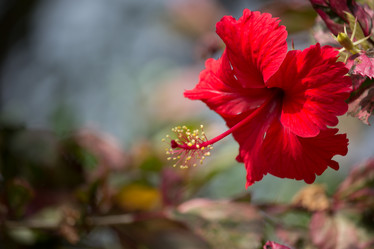 Similar image 13147155