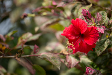 Similar image 13147156