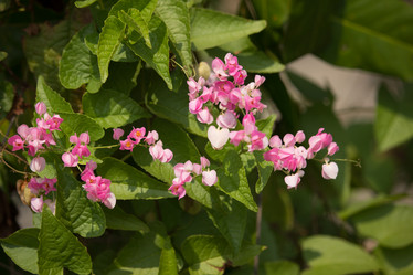 Similar image 13147138