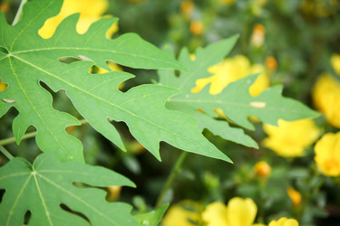 Similar image 13147139