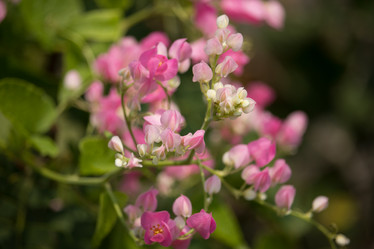 Similar image 13147157