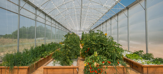 Similar image 13120008