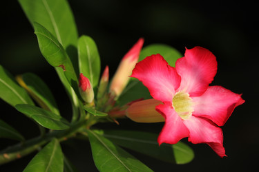 Similar image 13147143