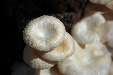 Similar image 13147159