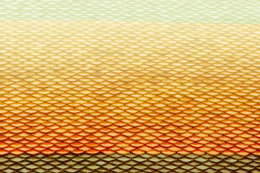 Similar image 13147160