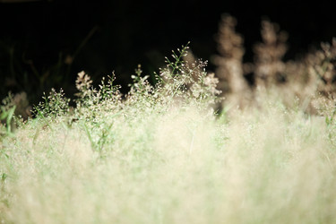 Similar image 13147161