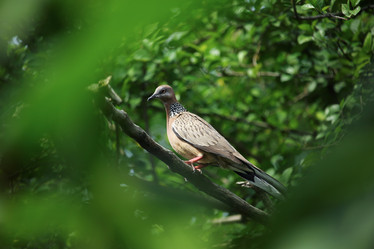 Similar image 13147162