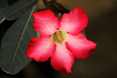 Similar image 13147163