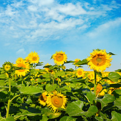 Similar image 13120513