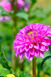 Similar image 13120517