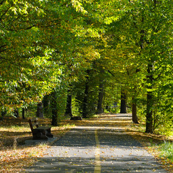 Similar image 13120523