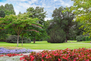 Similar image 13120525