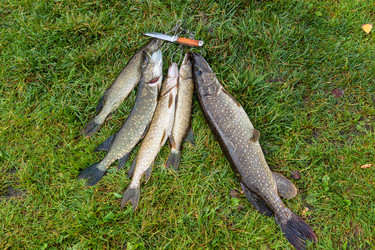 Similar image 13124157