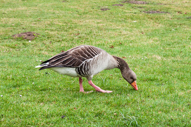 Similar image 13124103