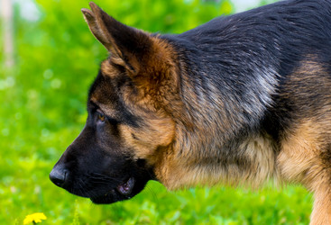 Similar image 13117611